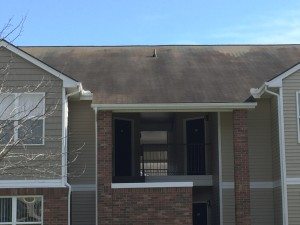 apartment roof cleaning before e1453691722217