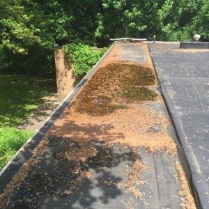 commercial roof gutter drain clean1 e1456332068732