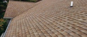 roofcleaning shingles after e1456455114257