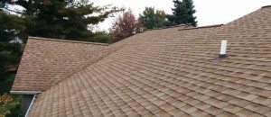 roofcleaning shingles after1 e1453740521400