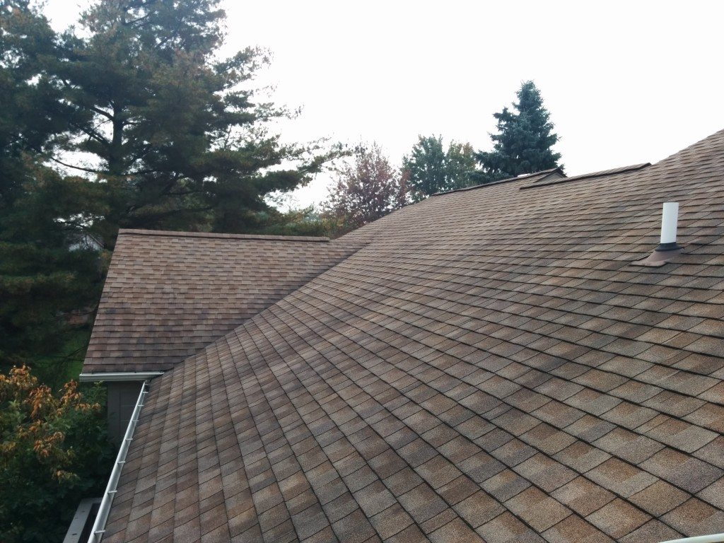 roofcleaning shingles before e1456455045234