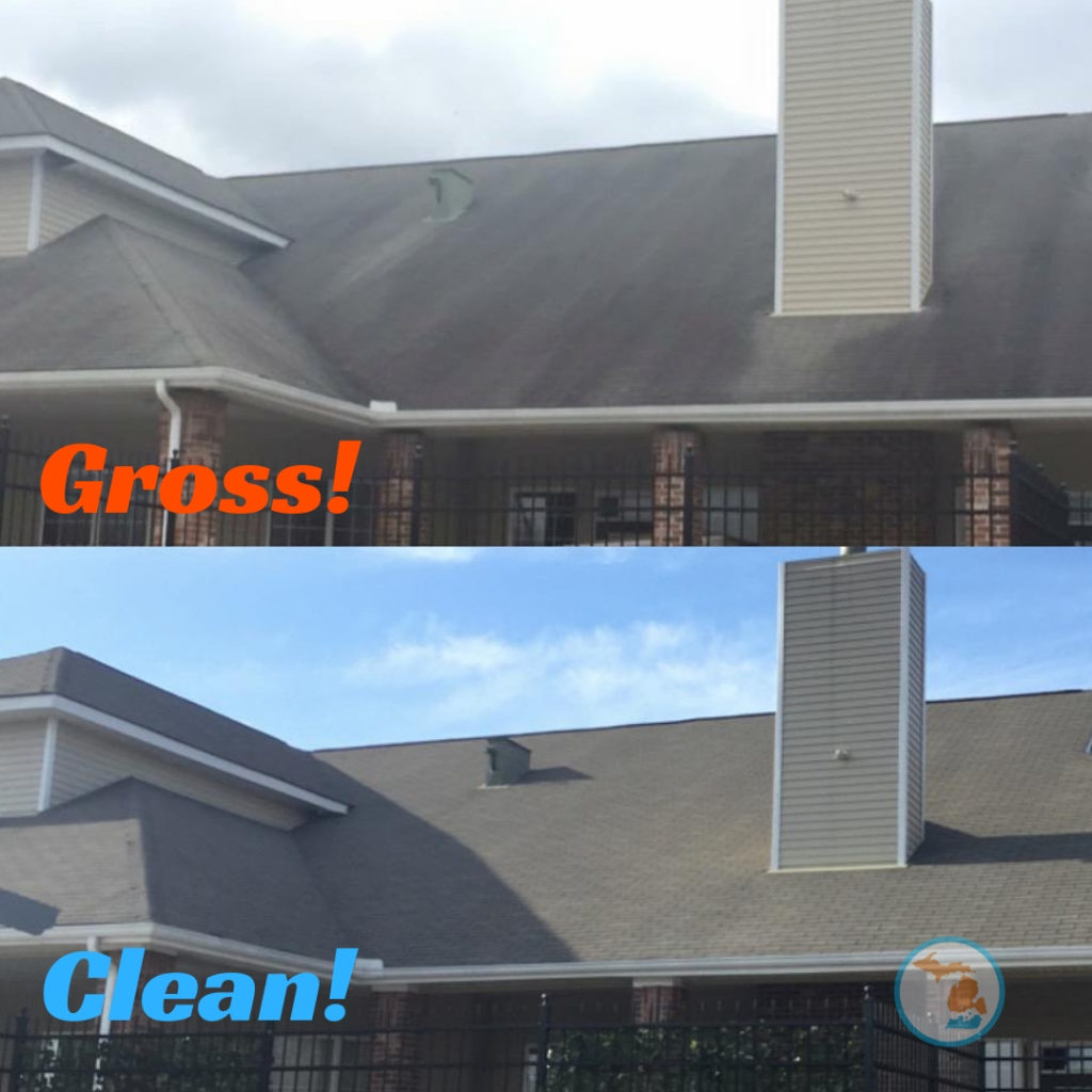michigan roof cleaning before after